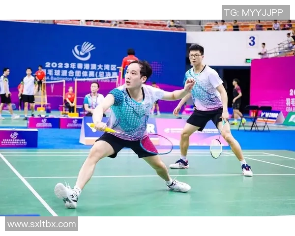 羽毛球顶级赛事回顾与未来展望