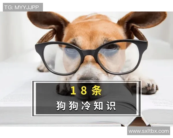 你不知道的巴黎：十大冷知识大揭秘