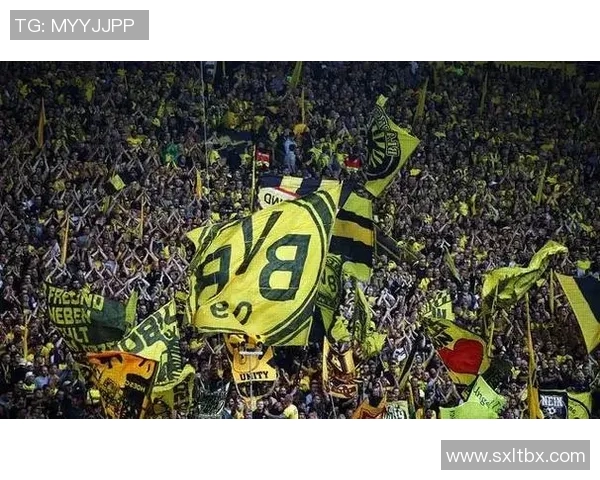 你不知道的多特蒙德：十大冷知识大揭秘