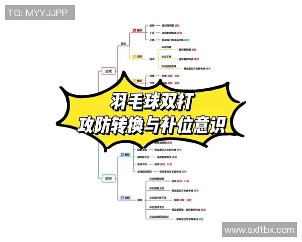 羽毛球混双比赛战术配合与技术分析 羽毛球混双比赛战术配合与技术分析